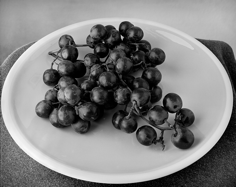 Grapes on a plate, 1994